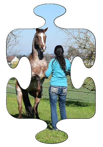 Kopie von HomeSeitequer (1).png