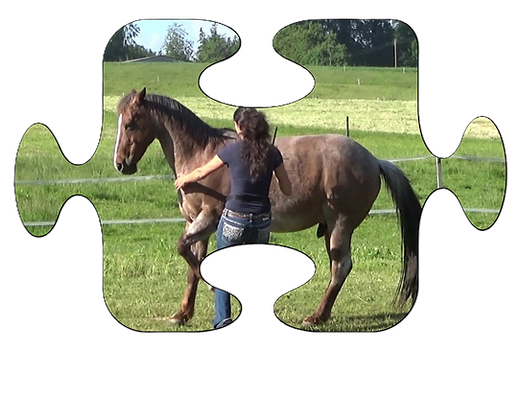 Kopie von HomeSeitequer (2).png