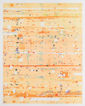 7) Ann Conrad Stewart_Bitmap IX.jpeg