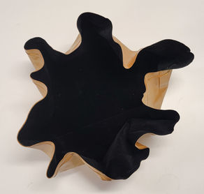 Copy of Giovanni Aloi_Dialogue 1_acrylic & velvet_11x10.5 inches_2022_Lesley Bodzy.jpg