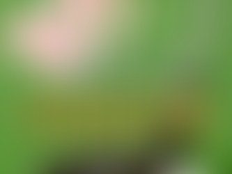 春ゴルフの花粉症対策