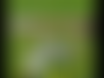 スイングが安定する基本ポイント|フィニッシュをとる【スイング24/7】