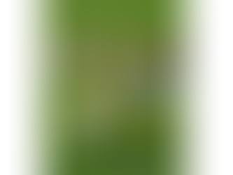 スコアを変える転がしのアプローチ～安定感が上がる寄せの基本～