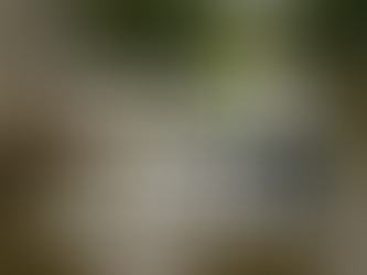 Flood Cleanup And Recovery Services In Marietta Georgia