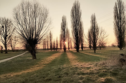 Walk & Talk Beratung im Grünen
