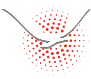 Logo_Vogel_Schriftzug_rot.png