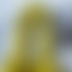 I don’t know how to sew and I still decided to make a bag from scratch