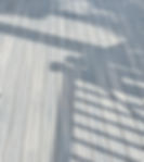 323139166_1227453247875938_8794850788328375186_n_edited.jpg