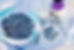 blueberries-1576409.jpg