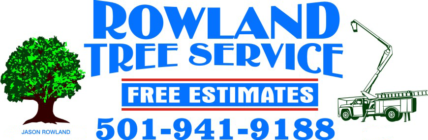 RolandTreeLogo.png