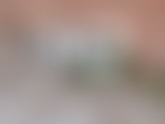 Photo of dog peeing on a wall