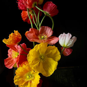 Two realizations- neurodivergent self-discoveries