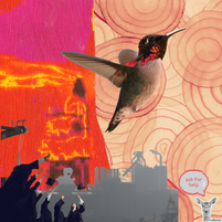 Hummingbird with iridescent feathers flies against a vibrant backdrop of red and beige swirls. Silhouettes of graduates toss hats below. Text: ask for help.