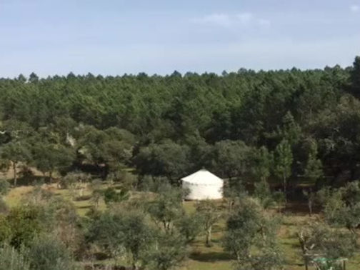 Casa dos Sonhos Yurts