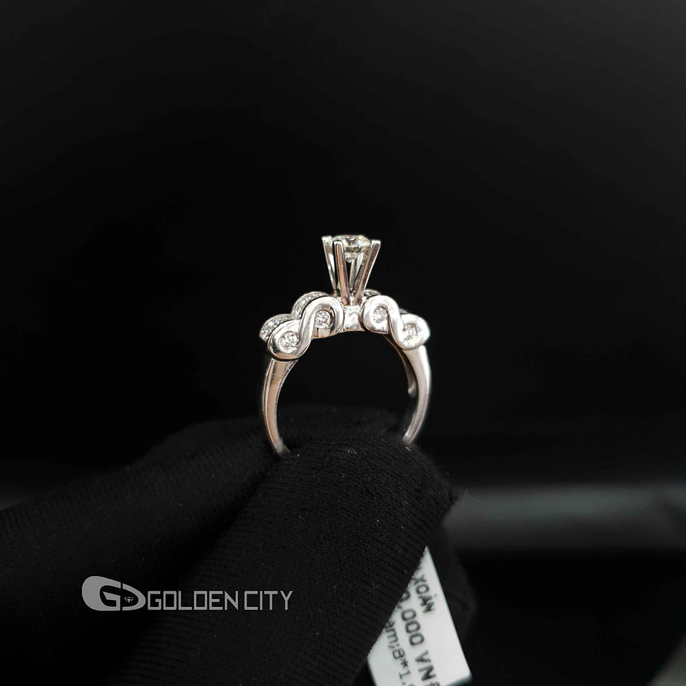 Hình thu nhỏ: Dn100011