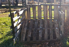 20201110_124501_edited.jpg