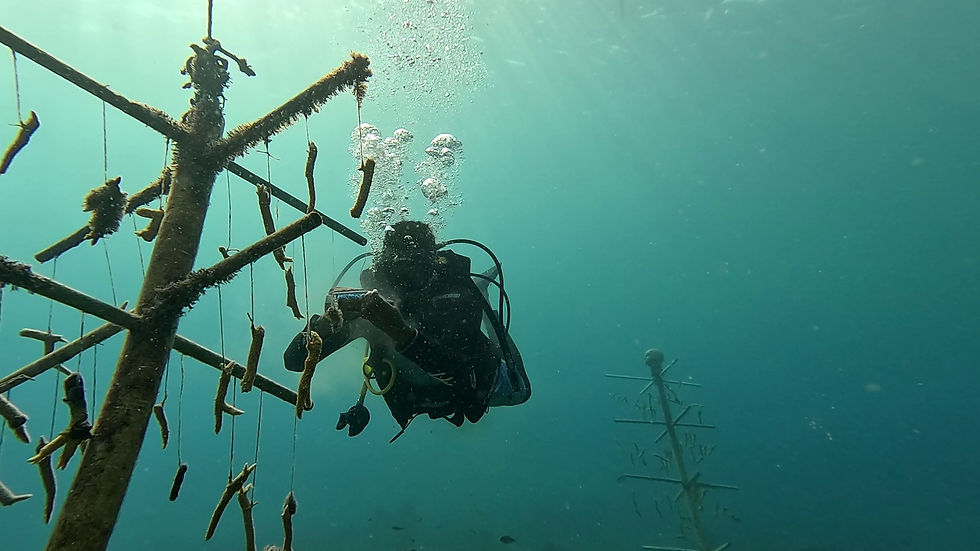 WhatsApp Image 2023-03-31 at 7.53.01 PM