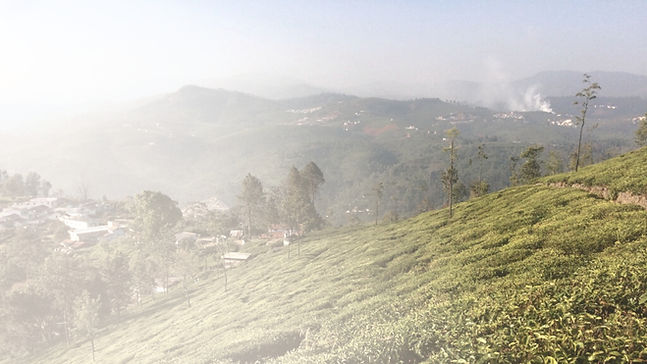 名称未設定のデザイン (22)_edited.jpg