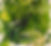 Untitled 7 2024.jpeg