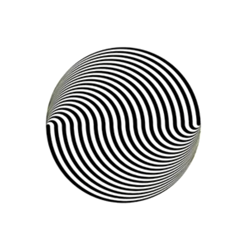 Marina Apollonio Dinamica Circolare for Panderma Editions