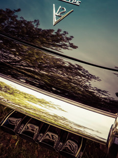 pexels-photo-92639.jpeg