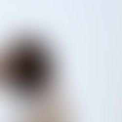 雇用環境賠償保険のこと