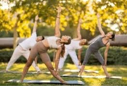 Martes de Yoga básica