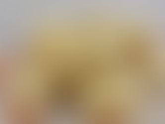 PÃO DE QUEIJO CANASTRA