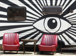 The eye