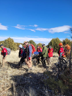 328119827_515448367392722_7756987955272032837_n