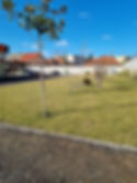 20220208_114823.jpg