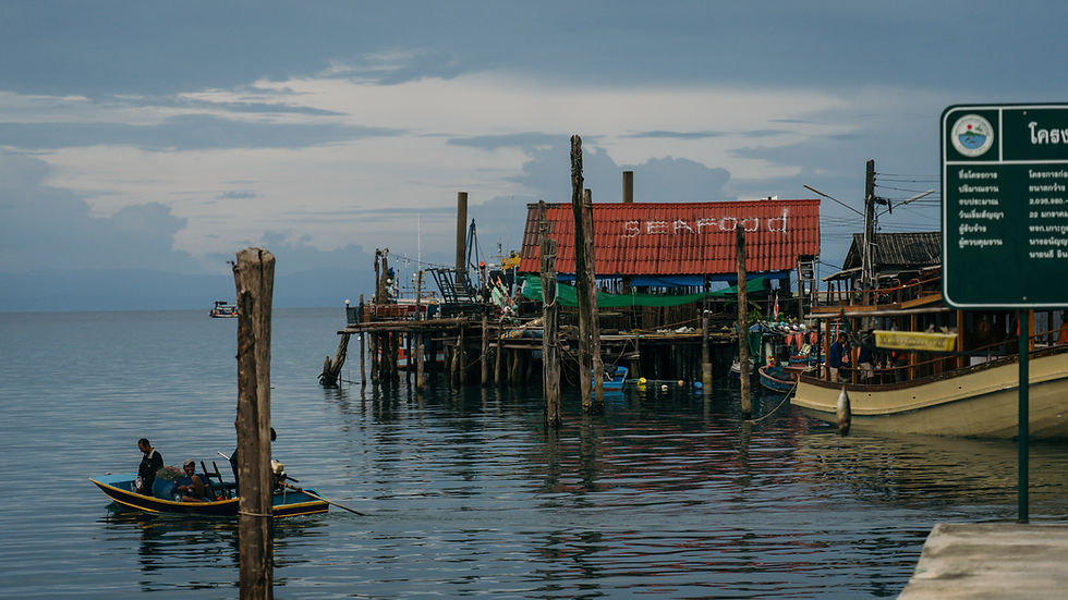 DSC03188-2.jpg