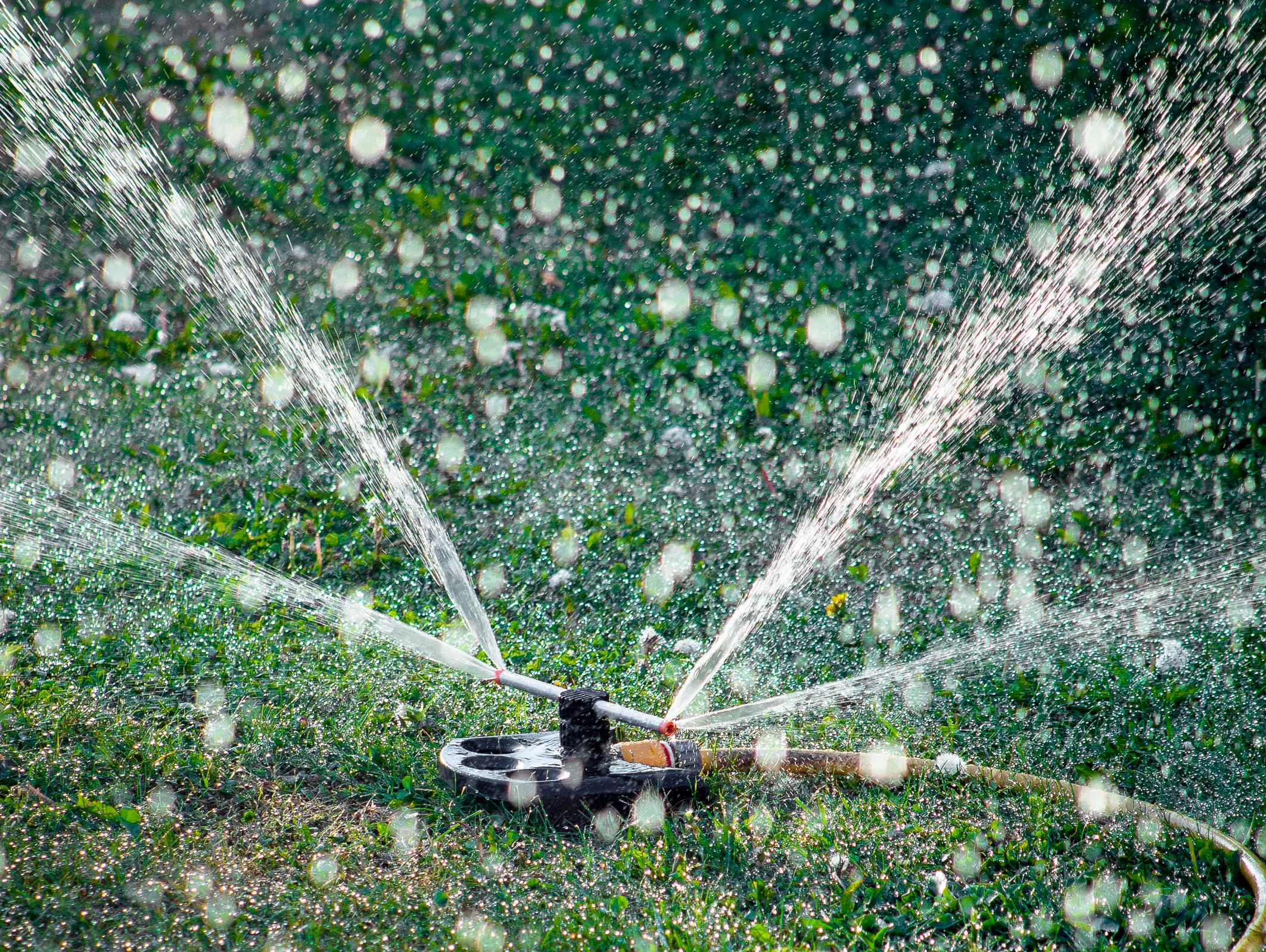 Sci-Sprinkler-1155876533.webp