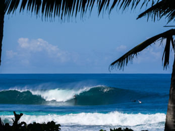 Clean ocean swell lines organizing into long peeling lefts at Ujung Bocur surf break in Krui, Indonesia.