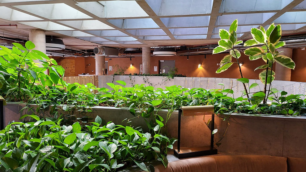 SM Upper Lobby.jpg