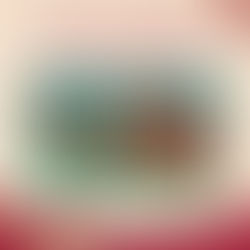 Limited Edition Red Packet Up for Grabs! 🧧@IPPUDO