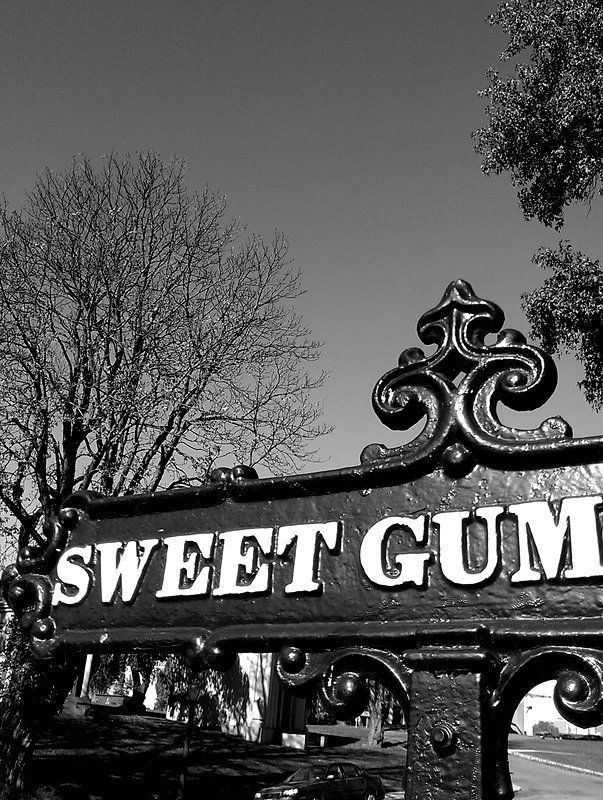 Photo by Andrea Reese