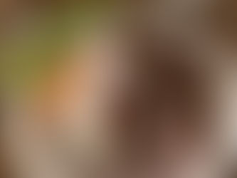 ロコモコ丼を作った。