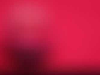 バレンタインデーだ。