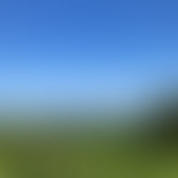 5月です。5日空室あります。