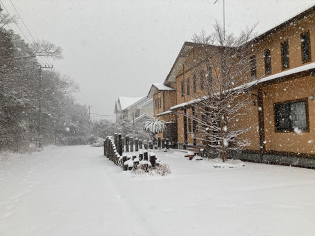 伊豆でも雪が降るんです。