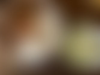 コウモリと今日のまかないはカレー。