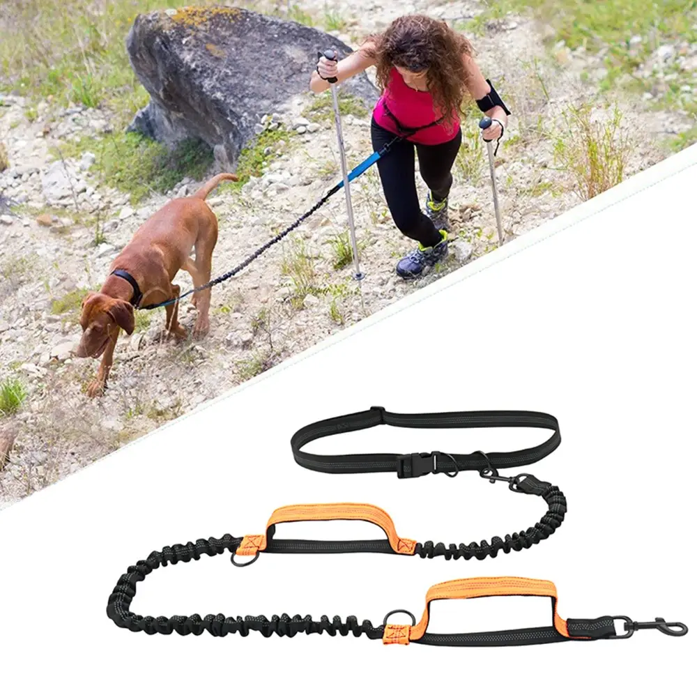 Retractable Hands Free Dog Leash