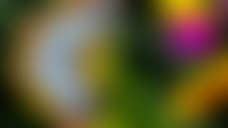 Touchy Feely: How Human Senses Compare with those of other Life-Forms