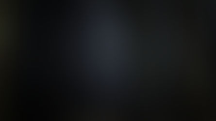 In a dark forest made of books