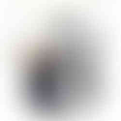 A sleek stainless steel tea kettle with a classic whistling spout, featuring a cool-touch ergonomic handle and accompanied by a silicone pinch mitt. The kettle sits on a stovetop, emitting a gentle steam, evoking a sense of warmth and tradition