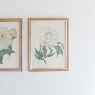 Anya's Decor_ A&M Home