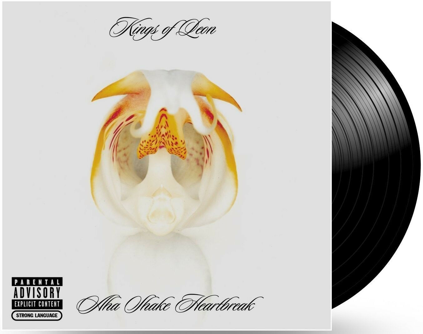 Kings Of Leon - Aha Shake Heartbreak (2LP)