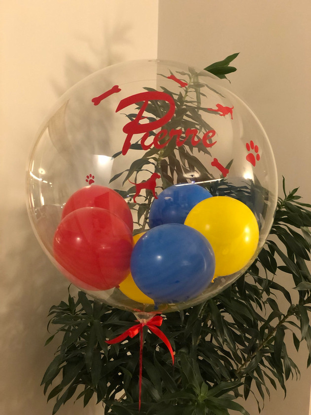 Aqua Ballon 60 cm