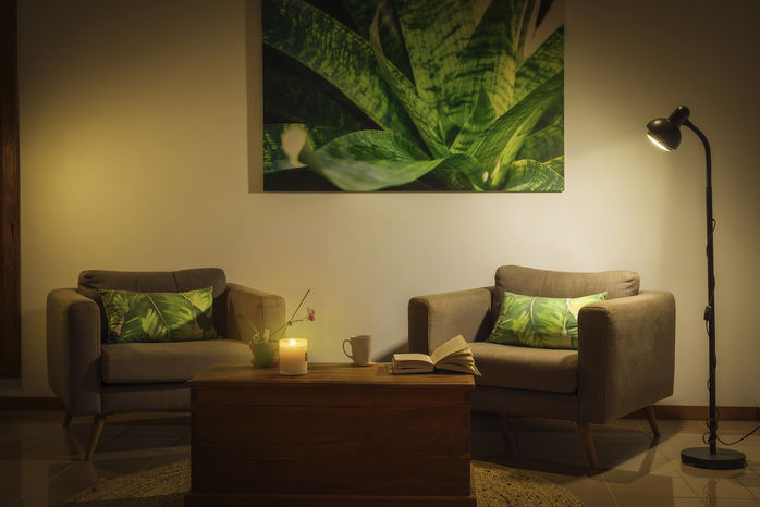Cozy real estate lounge interior in Cairns photographed by Shamrock Space Studio, featuring two armchairs, warm ambient lighting, a wooden coffee table, tropical green wall art, and relaxed resort-style décor.